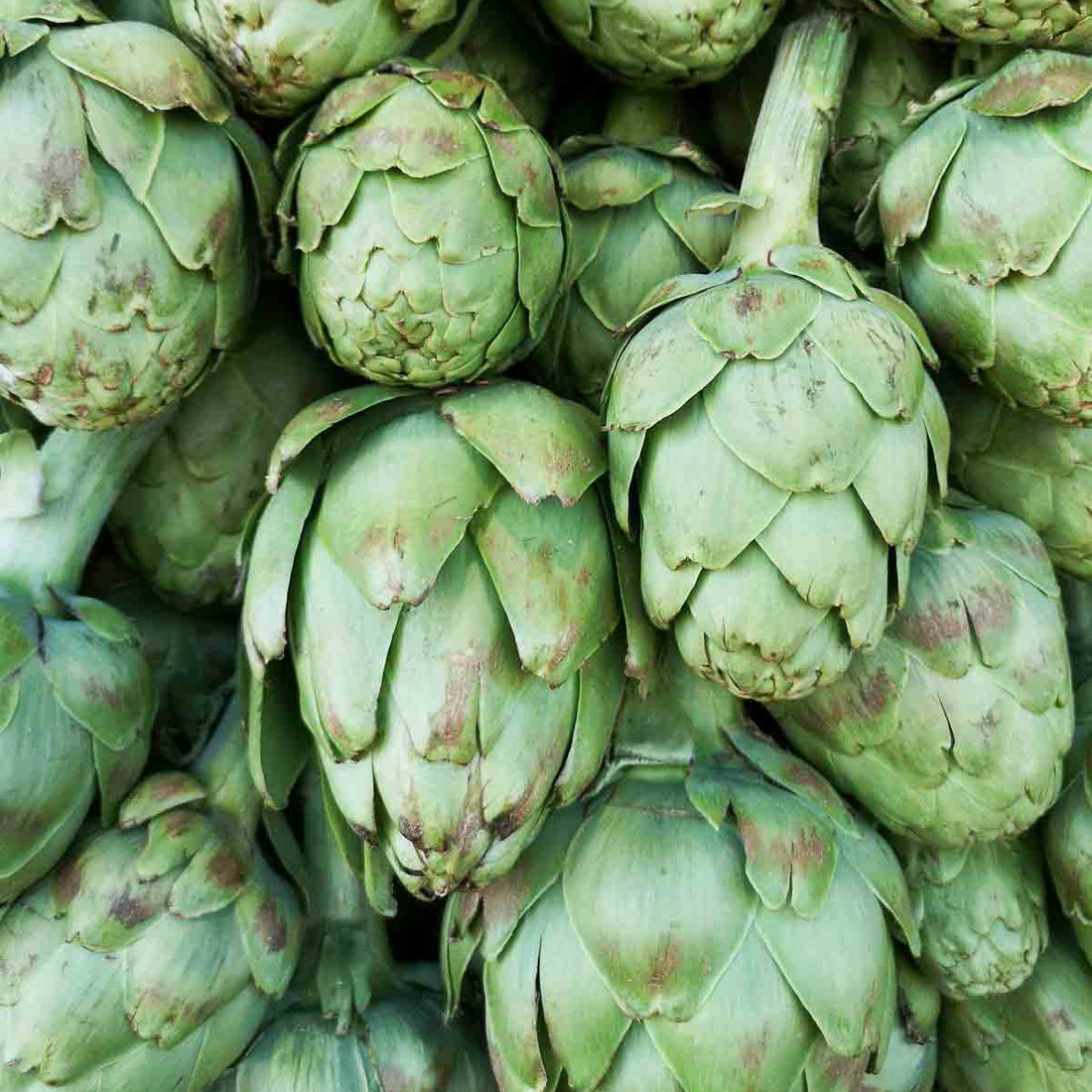 Artichoke Green (Pickup Only) - Ladybird Nursery