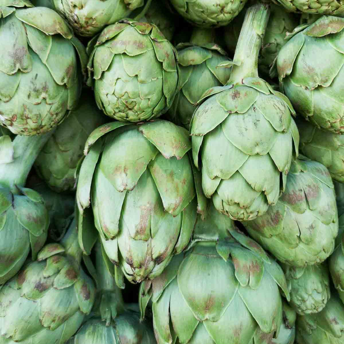 Artichoke Green (Pickup Only) - Ladybird Nursery