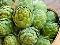 Artichoke Green (Pickup Only) - Ladybird Nursery