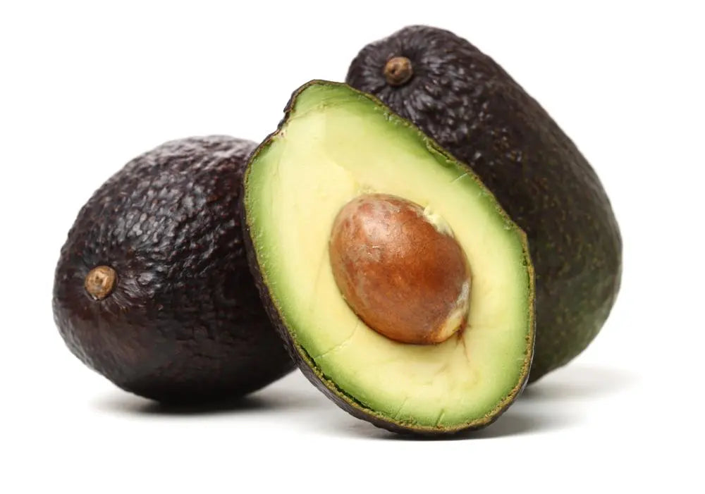 Allsop Avocado (A type)