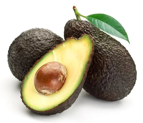 Allsop Avocado (A type) - Ladybird Nursery
