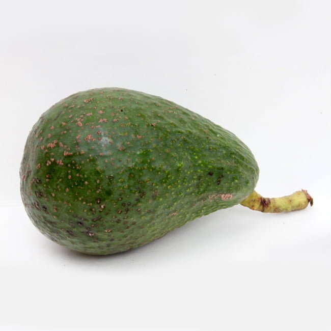 Avocado Edranol (B type) - Ladybird Nursery