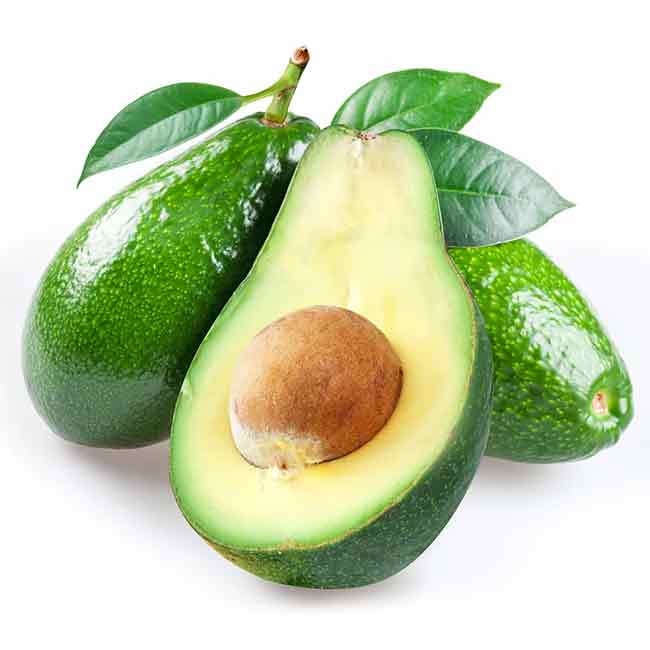 Avocado Fuerte (B Type) Medium