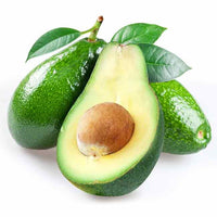 Avocado Fuerte (B Type)