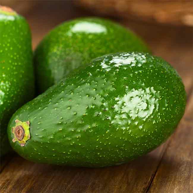 Avocado Fuerte (B Type)