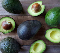Avocado Hazzard (A Type)