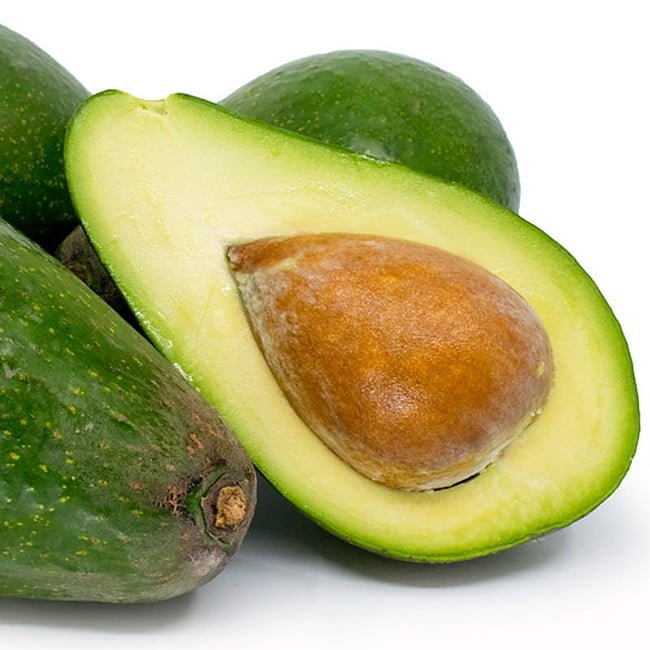 Avocado Sharpe (A Type) Velvick rootstock - Ladybird Nursery