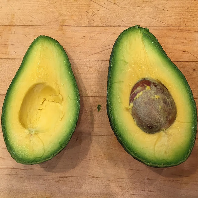 Avocado Sharwill (B Type) - Ladybird Nursery