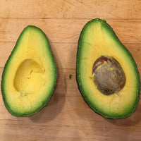 Avocado Sharwill (B Type)
