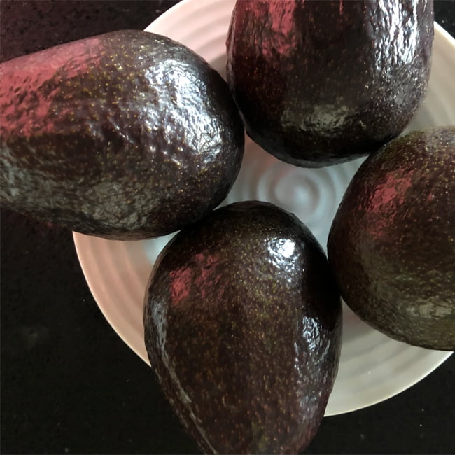 Avocado Sir Prize (B Type) (PICK UP ONLY)