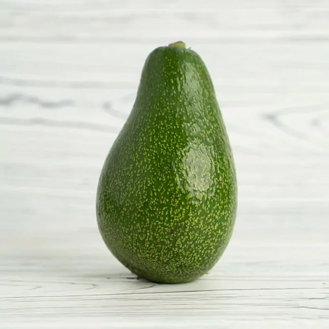 Avocado Willard (A Type) Velvick rootstock