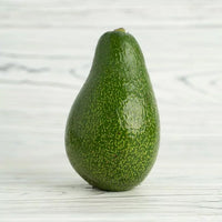 Avocado Willard (A Type) Velvick rootstock