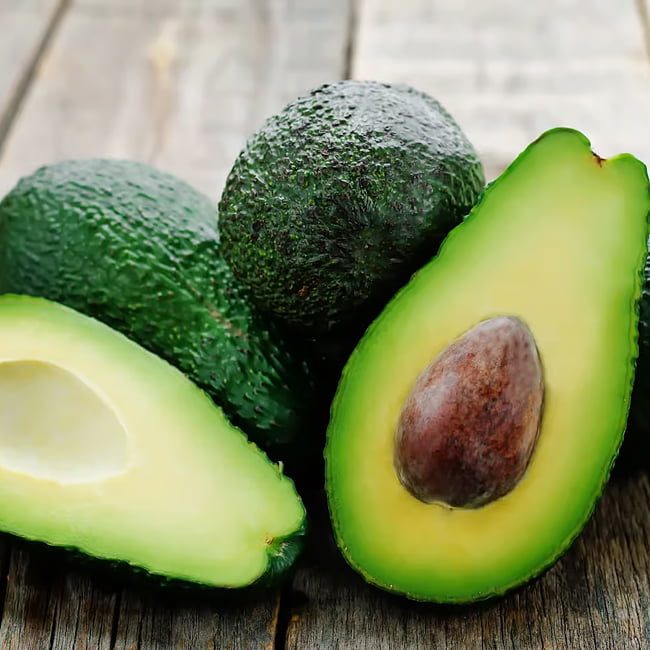 Avocado Willard (A Type) Velvick rootstock