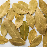 Bay Leaf Tree - Ladybird Nursery
