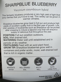 Blueberry Sharpe Blue 330mm PICK UP ONLY (Wine Barrel)