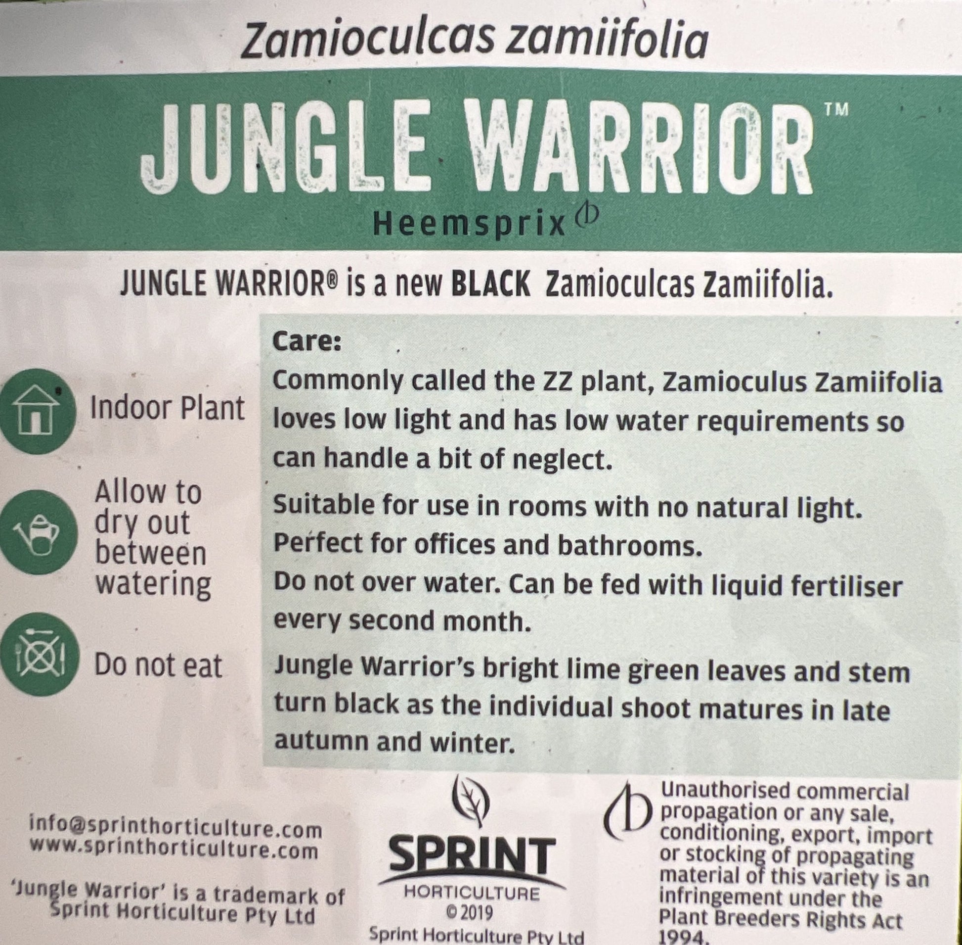 Jungle Warrior Black Zanzibar Gem