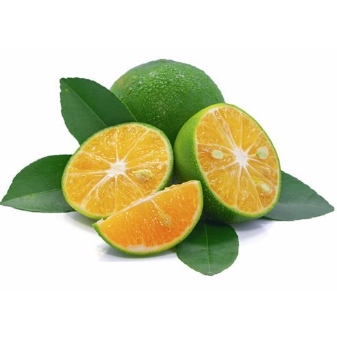 Calamansi (QLD Only)
