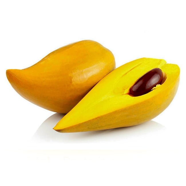 Canistel Grey - Ladybird Nursery