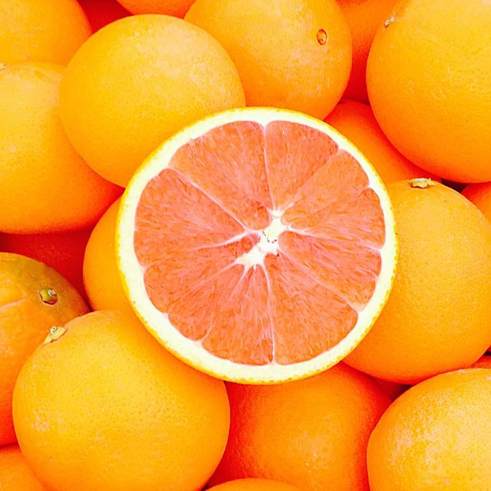 Orange 'Cara Cara' 300mm (Pickup Only) - Ladybird Nursery