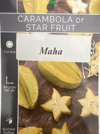 Carambola Maha (Star Fruit) Tree--Grafted