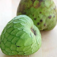 Cherimoya Bays