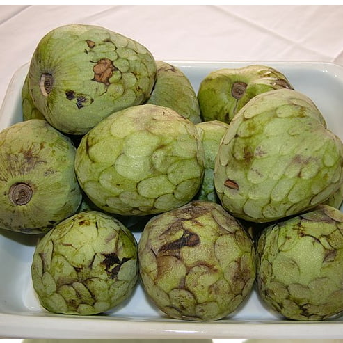 Cherimoya Bays