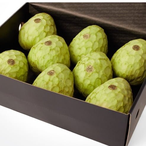 Cherimoya Fino de Jete - Ladybird Nursery