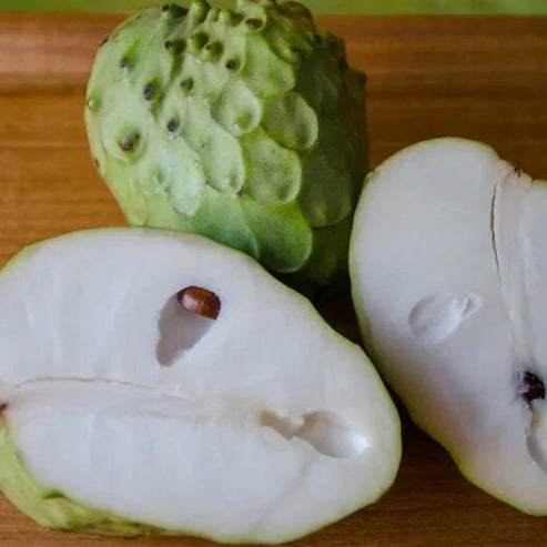 Cherimoya White