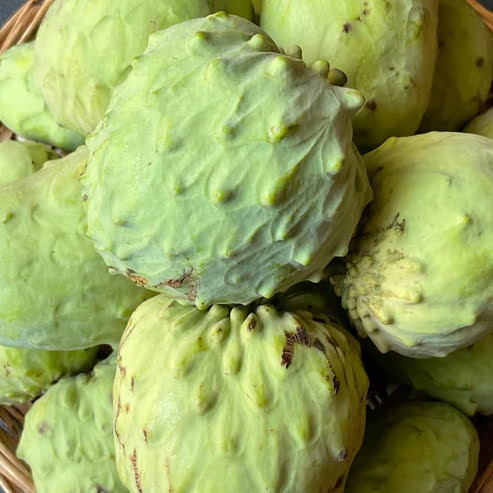 Cherimoya White