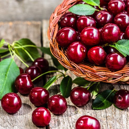 2-Way Cherry 'Minnie Royal + Royal Lee'