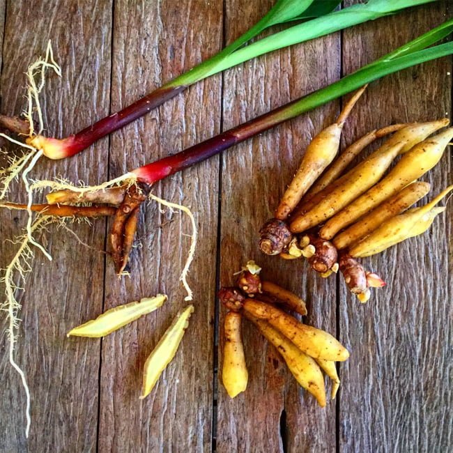 Chinese Keys - Ladybird Nursery