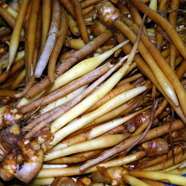 Chinese Keys - Ladybird Nursery