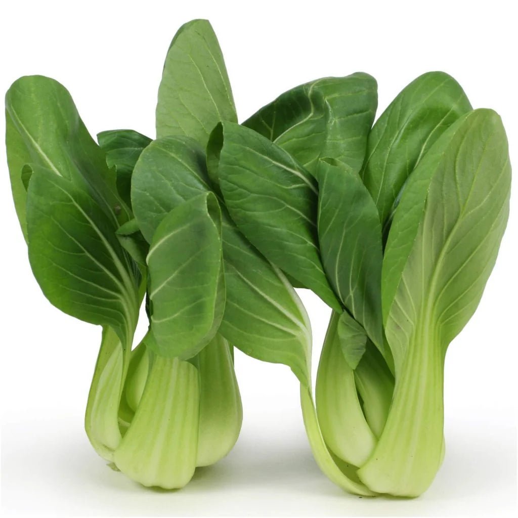 Pak Choy (Pickup Only) - Ladybird Nursery