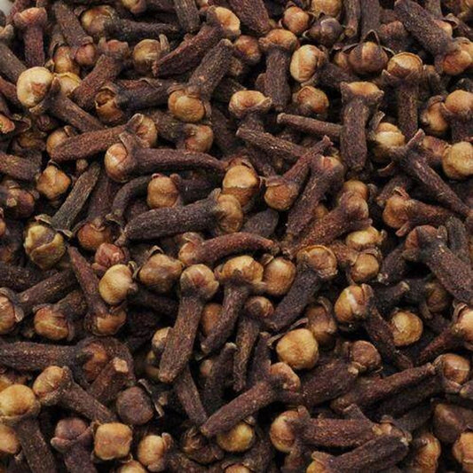 Clove (Syzygium aromaticum) - Ladybird Nursery