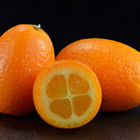 Cumquat Hong Kong (QLD Only) - Ladybird Nursery