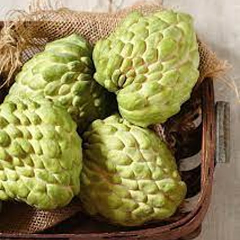 Custard Apple Pink Mammoth