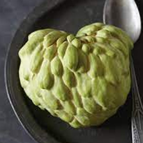 Custard Apple Pink Mammoth