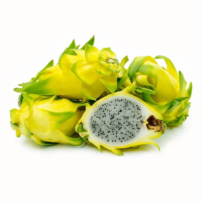 Dragon fruit Aussie Gold - Ladybird Nursery
