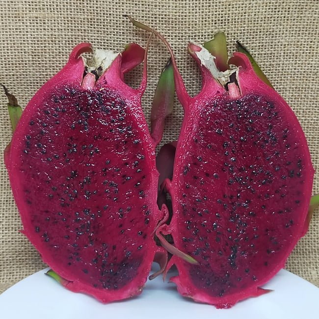 Dragon fruit Columbian Supreme - Ladybird Nursery