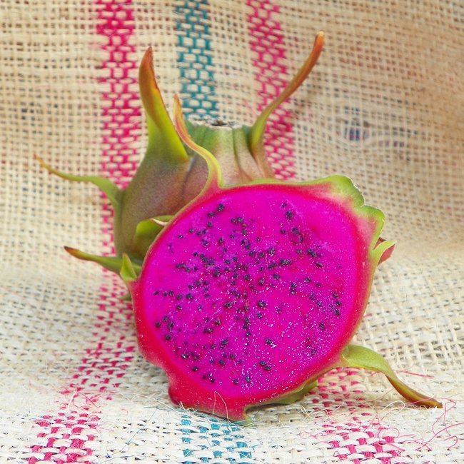 Dragon fruit Condor - Ladybird Nursery