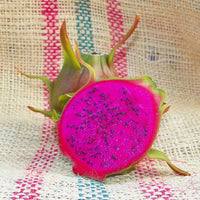 Dragon fruit Condor