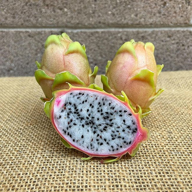 Dragon fruit Connie Mayer