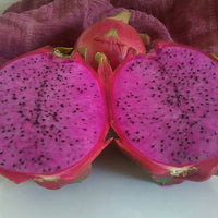 Dragon fruit Dark Star