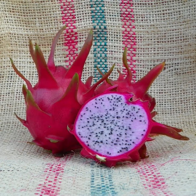 Dragon fruit Delight
