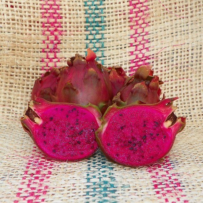 Dragon fruit Neon - Ladybird Nursery