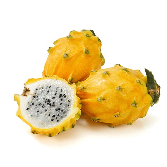 Dragon fruit Palora - Ladybird Nursery