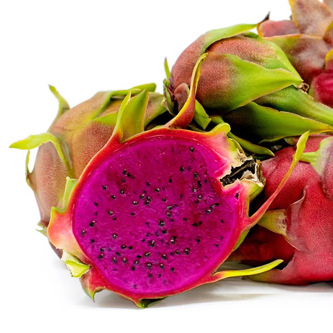 Dragonfruit 'Scotts Purple' - Ladybird Nursery
