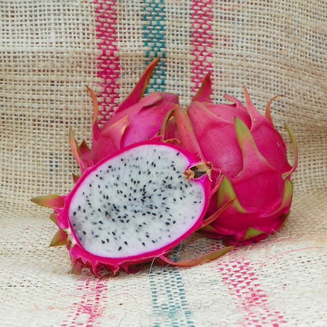 Dragon fruit Thi