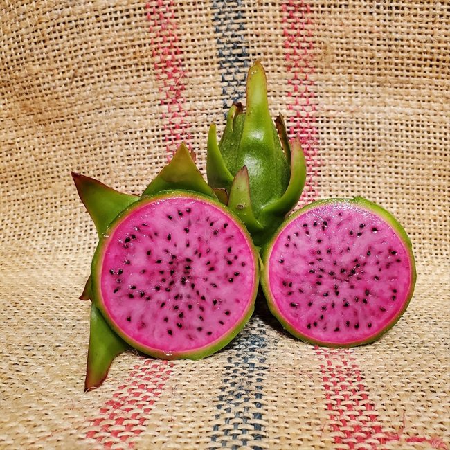 Dragon fruit Townsend Pink