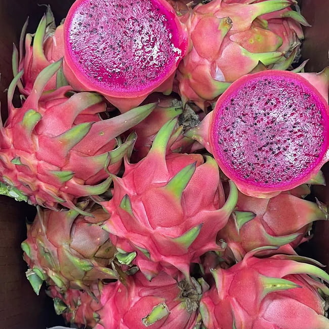Dragon fruit Townsend Pink